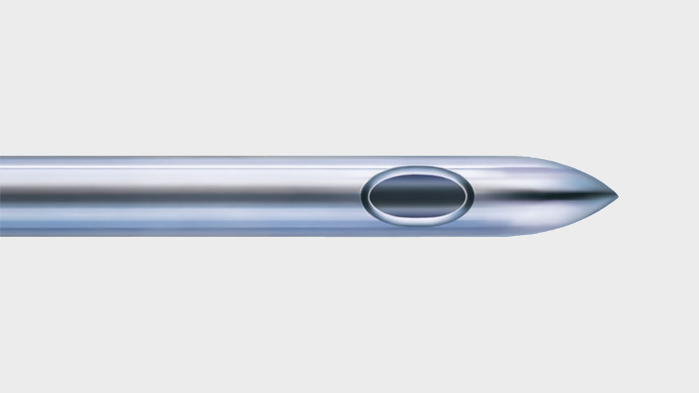 Pencan needle